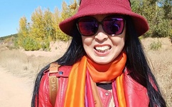 粉红色的火烈鸟快播